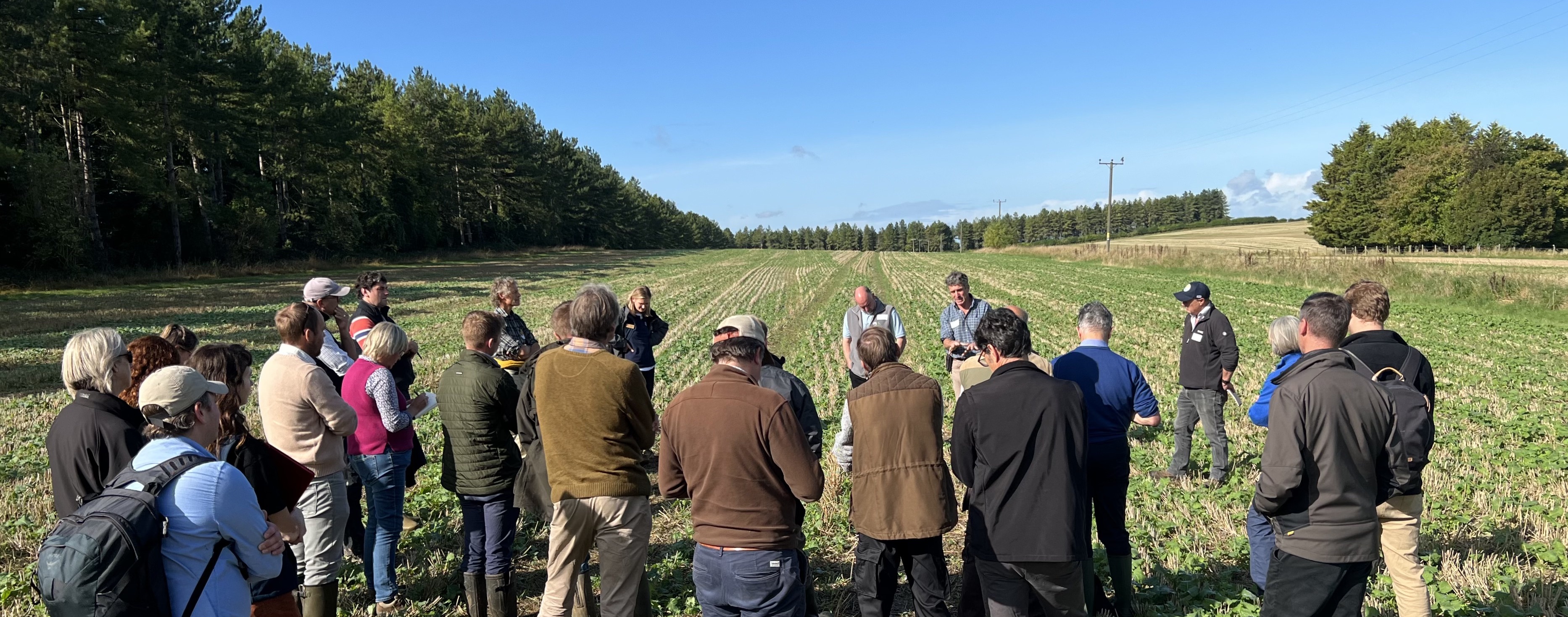 Farm Carbon Toolkit