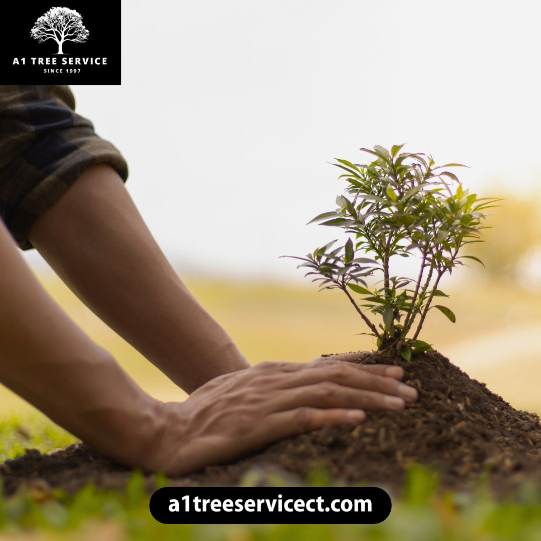 A1 Tree Service LLC
