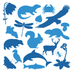 Scottish Wildlife Trust
