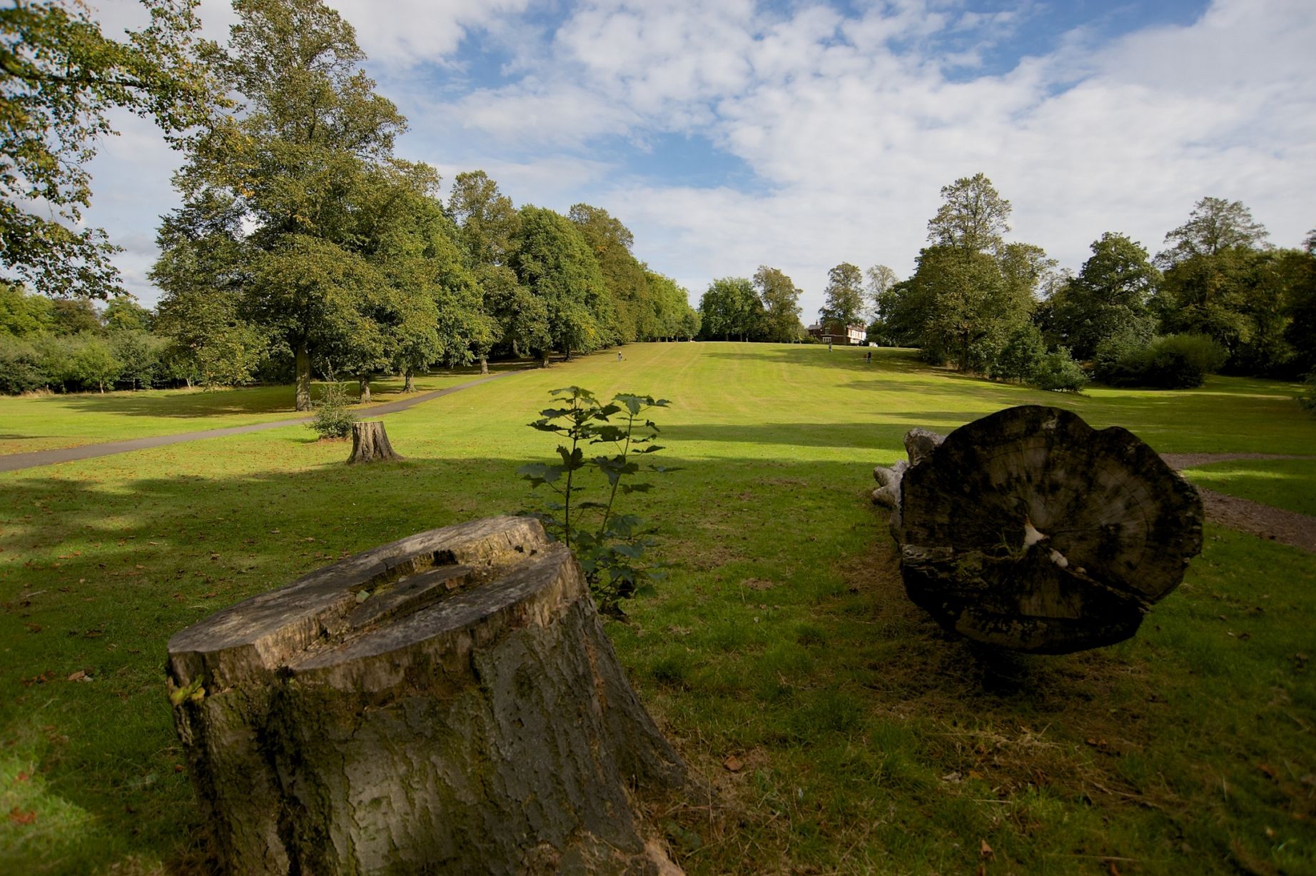 Birmingham Open Space Forum