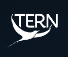 TERN (The Entrepreneurial Refugee Network)