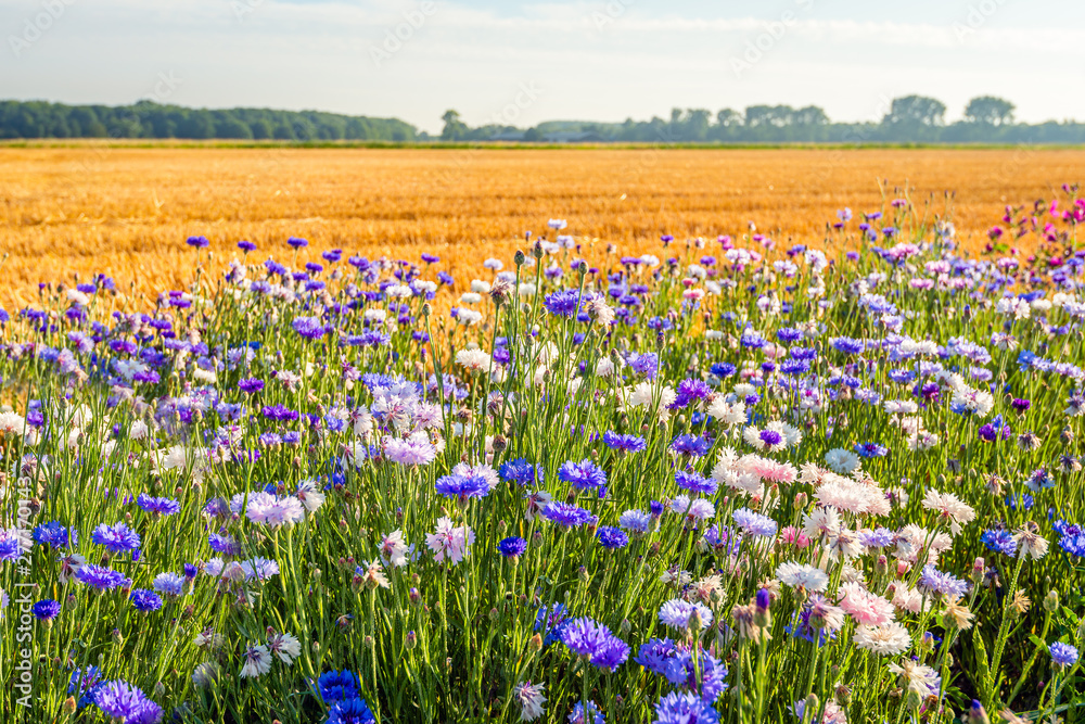Nature Friendly Farming Network