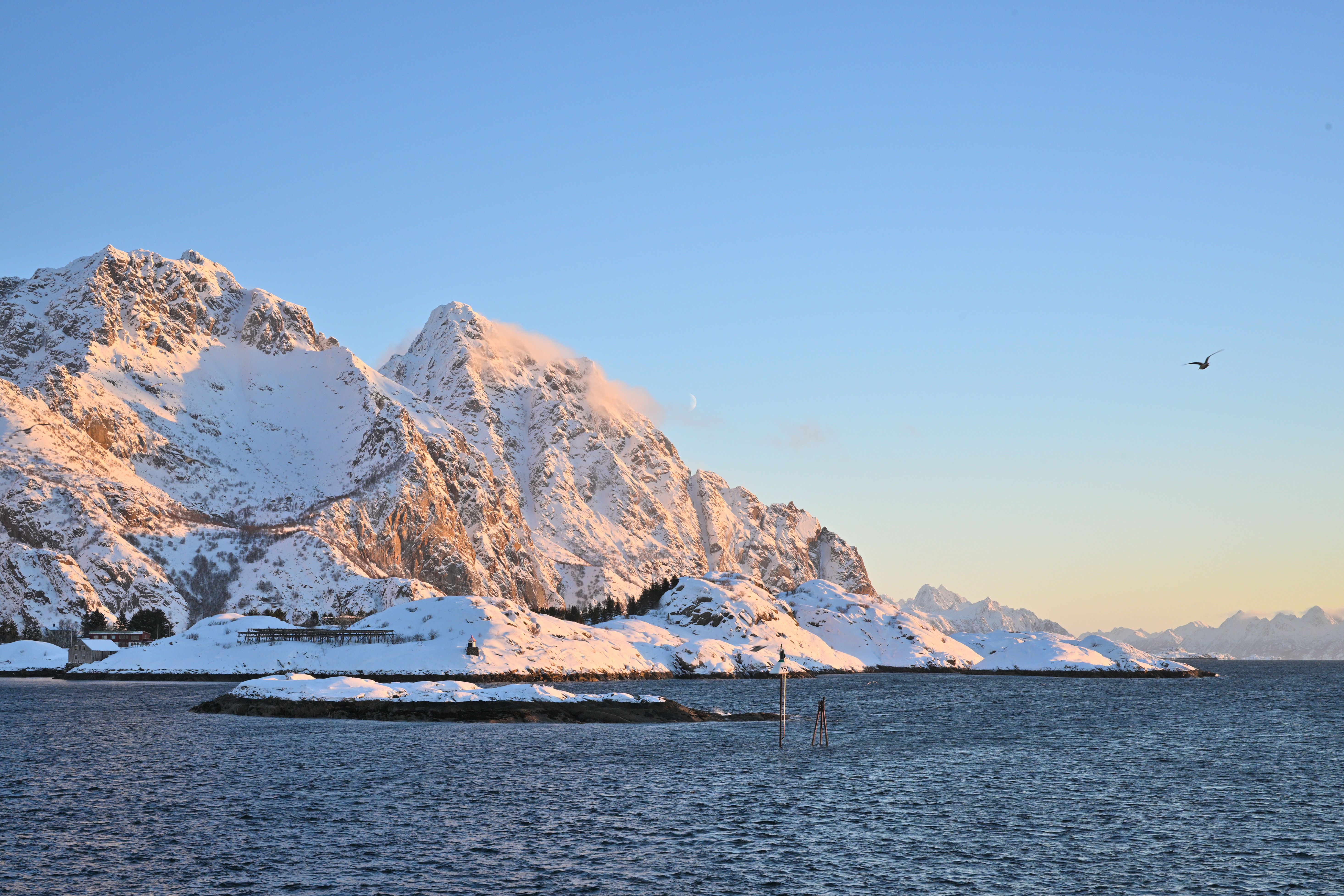 Arctic Coliving